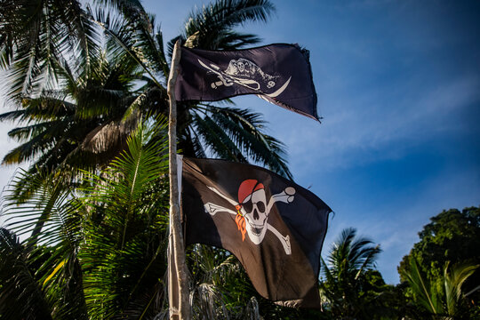 The black pirate flag, the Jolly Roger, against the backdrop of tropical palm trees