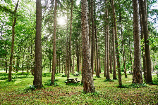picnic and trail area within Saratoga Spa State Park, Saratoga Springs, New York
