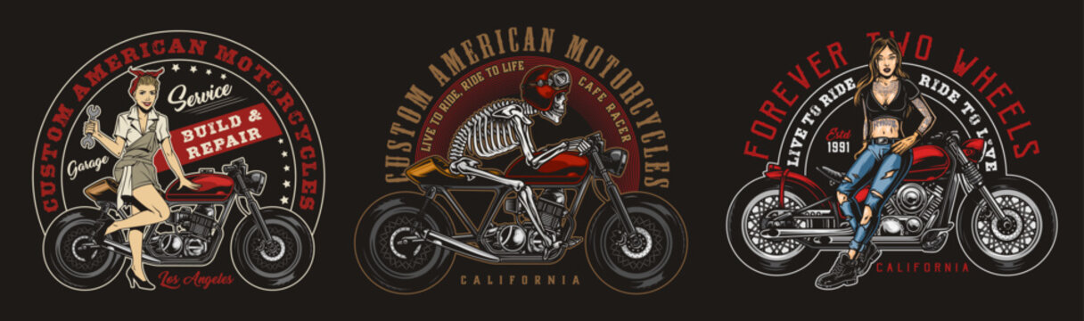 vector illustration