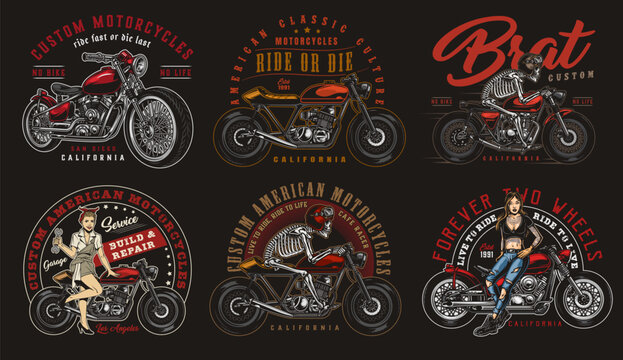 vector illustration