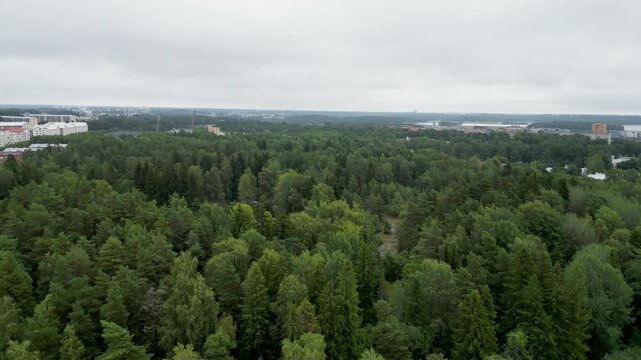 aerial view of city