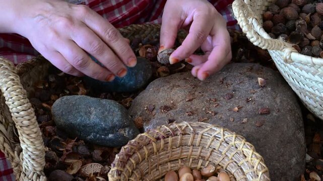 Marrakech, morocco. August 9, 2026. Slow motion closeup of female hands using stones to crack argan nuts. A traditional method for extracting kernels to produce argan oil in morocco