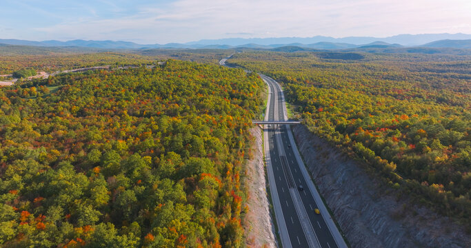 AERIAL: Motorway cutting through dense autumn woodland. An overpass, distant mountain ridges and soft sunlight frame scenic transport corridor surrounded by colourful fall foliage and rolling terrain