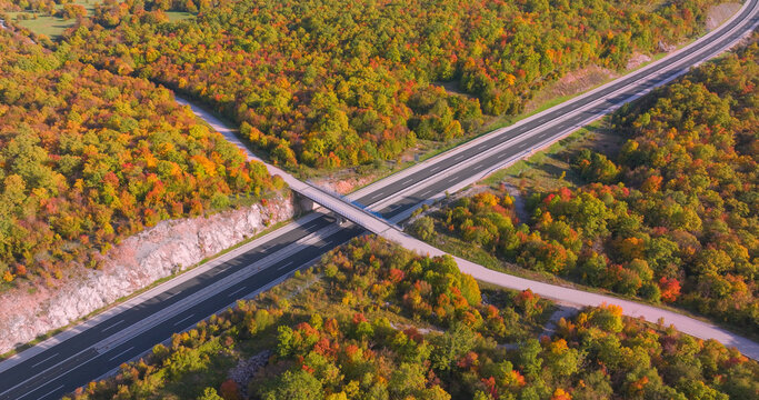 AERIAL: Highway overpass surrounded by mixed autumn forest. Vehicles move below while colourful shrubs and trees highlight the engineered asphalt route through scenic rural landscape in shades of fall