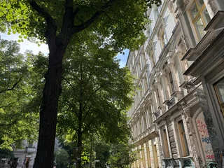 Grüne Straßenbäume und Altbaufassaden im Viertel Prenzlauer Berg, Pankow, Berlin, Germany © finecki