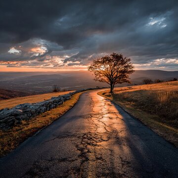 Scenic Drive at Sunset - A Lone Tree Silhouetted Against the Sky.