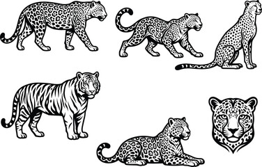 Obraz premium Detailed black and white vector illustrations of leopards, cheetahs, and tiger with distinctive fur patterns, artistic linework, and stylized feline head design