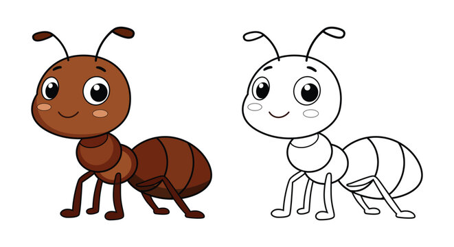 Cute ant cartoon character and black line outline coloring page set, little insect vector illustration isolated on white background for kids education book.