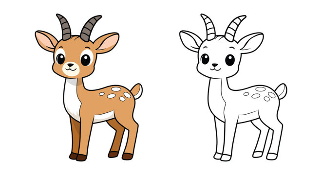 Cute deer cartoon character and black line outline coloring page set, little gazelle vector illustration isolated on white background for kids education book.