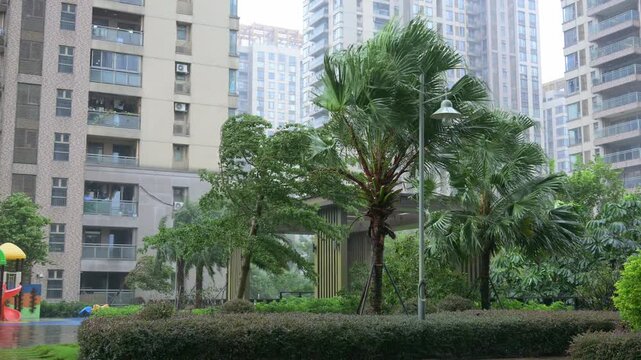 Strong wind‑blown palm trees swaying in heavy rain inside residential complex with high‑rise apartment buildings in background video with sound