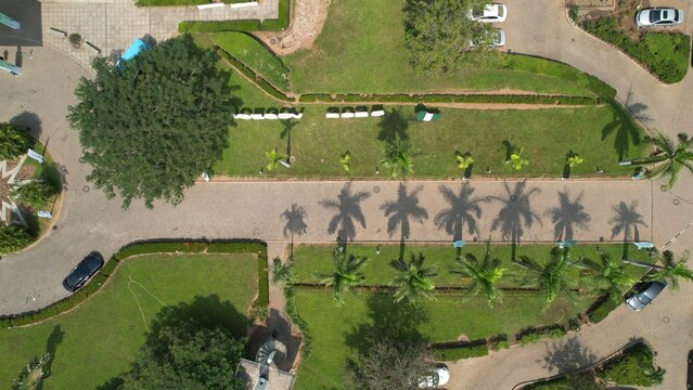 Aerial view of Ligali Ayorinde Street featuring lush green lawns, rows of palm trees casting long shadows, and parked cars along the paved road in Lagos, Lagos, Nigeria.