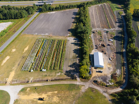 Aerial view of Trask Family Farms featuring rows of crops, a large white barn, and surrounding fields in Castle Hayne, North Carolina, United States.