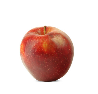 large, colorful apple