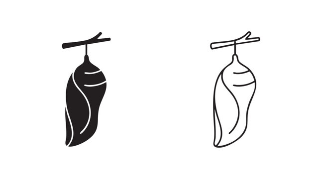 butterfly cocoon vector art, insect metamorphosis