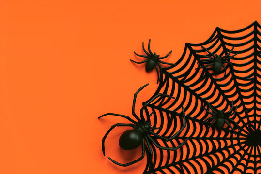 Top view of decorative Halloween spider web with spiders and copy space for text. Halloween concept background