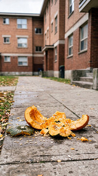 Smashed orange pumpkin with scattered seeds lying on a wet concrete sidewalk in front of a brick apartment building. Broken halloween jack o lantern debris on courtyard path in autumn