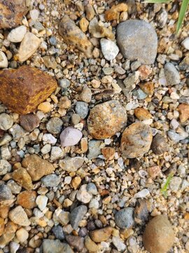 pebbles on the beach