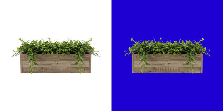 Green leafy ivy plants growing in a long rectangular wooden planter box transparent png