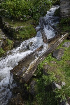 A small stream feeds a water basin in a hollowed tree trunk, long exposure, Mogno, Maggia Valley, Valle Maggia, Canton of Tessin, Switzerland