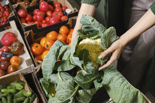Person holds large cauliflower surrounded by fresh vegetables in market. Stalls display tomatoes, cucumbers, and peppers