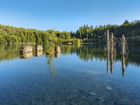 The slate lake in Kie&szlig;lichbruch with dead trees and remains of walls, former slate quarry, technical monument of historical slate mining Lehesten, Thuringia, Germany