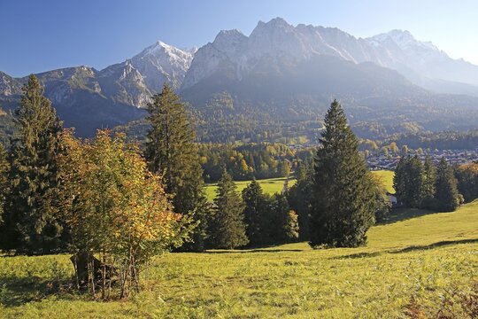 Autumn landscape with view on the Wetterstein range with Alpspitze 2628m, Waxenstein 2277m and Zugspitze 2962m, Grainau, Werdenfelser Land, Upper Bavaria, Bavaria, Germany
