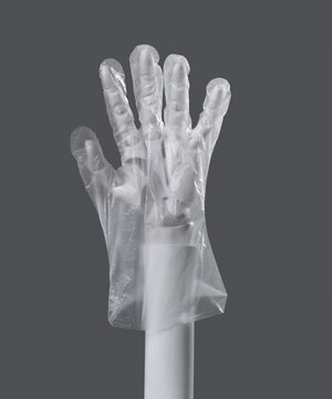 Disposable Transparent Plastic Glove on Hand Concept of Hygiene and Protection