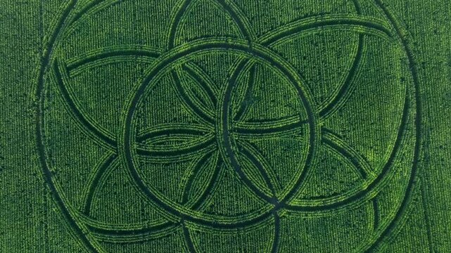 Orbiting over Complex circular crop pattern sown using satellite technology, not cut in later, in Saaremaa, Estonia.