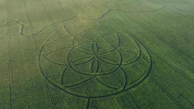 Orbiting giant Saaremaa-shaped corn maze with Complex circular pattern in the centre. Saaremaa, Estonia.