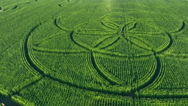 Pan right of Complex circular crop pattern sown using satellite technology, not cut in later. Saaremaa, Estonia.