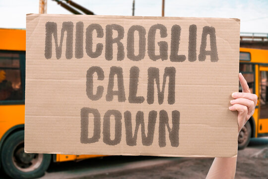 "Microglia calm down" Gut intervention reduces brain inflammation. MICROGLIA. CALM. INFLAMMATION. BRAIN. GUT.