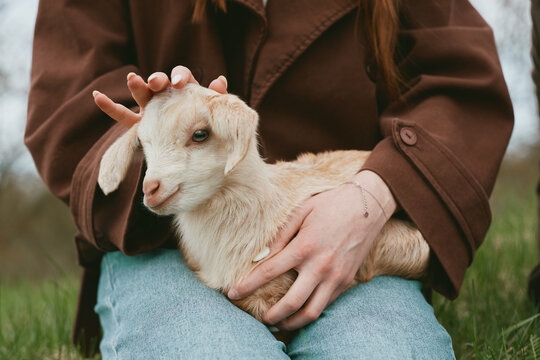 Young woman gently holds a baby goat on her lap while sitting outdoors dressed in a brown jacket and blue jeans, creating a warm and peaceful lifestyle moment.