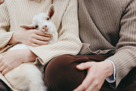 Cozy moment with a gentle goat kid cradled by two people in soft sweaters. Warm natural tones, relaxed lifestyle, and gentle bonding. Close-up on tender care, rustic ambiance, and calm companionship.