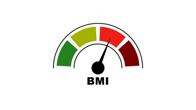 An animated BMI gauge meter indicator pointing to different weight categories on a color scale