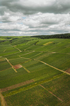 Aerial view of lush green vineyards stretching across rolling hills under a cloudy sky in Barzy-sur-Marne, Hauts-de-France, France.