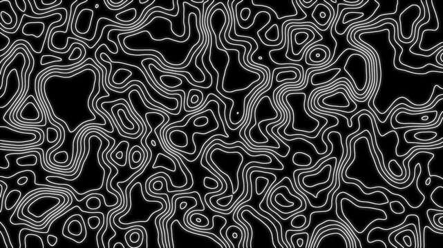 Abstract white geometric grid topographic line contour map black background, smooth wave motion and moving terrain lines, 4k animated abstract topographic lines for background looping, overlays