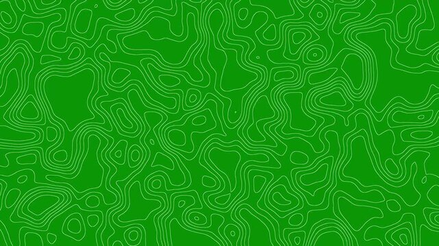 Abstract white geometric grid topographic line contour map green background, smooth wave motion and moving terrain lines, 4k animated abstract topographic lines for background looping, overlays