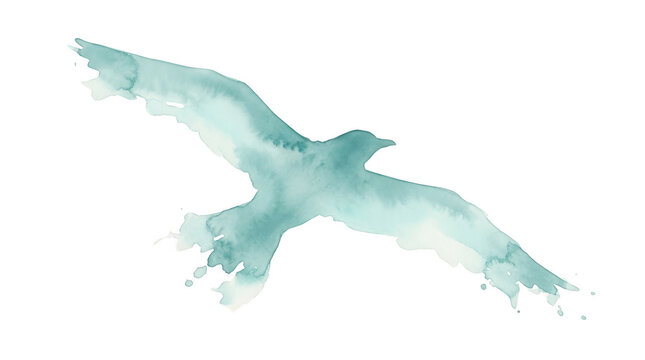 Ilustra&ccedil;&atilde;o art&iacute;stica em aquarela de uma gaivota voando, pintada em tons suaves de azul-petr&oacute;leo com texturas fluidas e bordas irregulares, isolada sobre um fundo branco puro para design criativo.