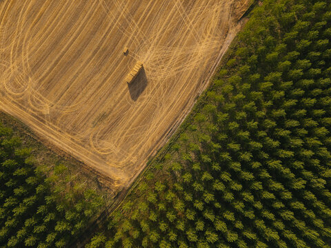 Aerial view of a harvested golden field with stacked hay bales adjacent to a dense green forest in Villamayor, Castile and Leon, Spain.