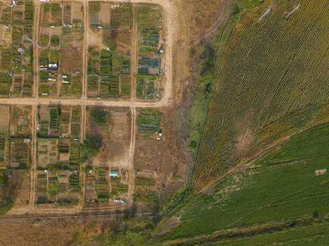 Aerial view of urban agriculture plots with small garden patches and dirt paths adjacent to a large cultivated field in Villamayor, Castile and Leon, Spain.