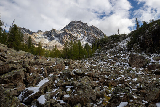 View of a rugged mountain slope covered in scattered rocks and patches of fresh snow, framed by a forest of coniferous trees under a cloudy sky in Valmalenco, Lombardia, Italy.