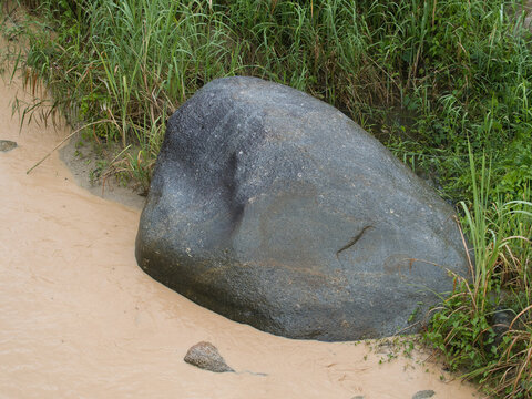 Natural hazards during the rainy season river surges and mudslides rapidly flowing muddy brown water rushes past dark scattered rocks weeds and trees within the stream or river.