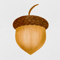 Hand Painted Watercolor Acorn Botanical Illustration © Verena