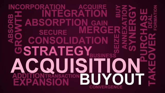 Acquisition Word Cloud