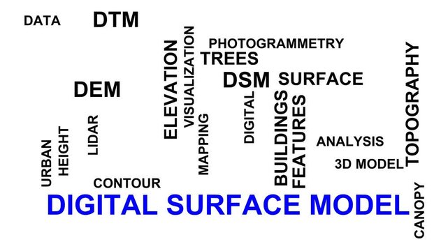 Digital Surface Model Word Cloud