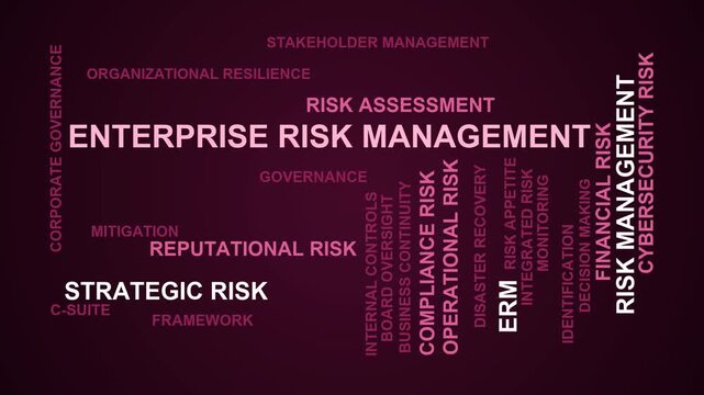 Enterprise Risk Management Word Cloud