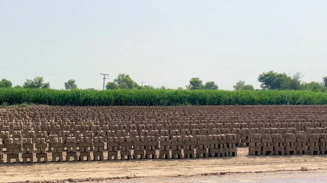 The clay bricks are standing in a single row, with each brick placed on top of another. 4k video