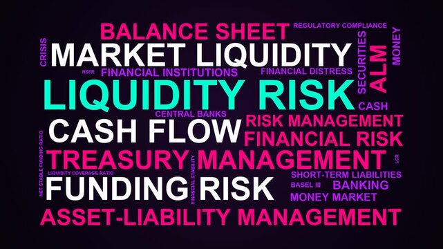 Liquidity Risk Word Cloud