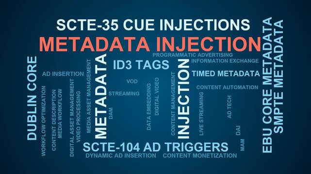 Metadata Injection Word Cloud