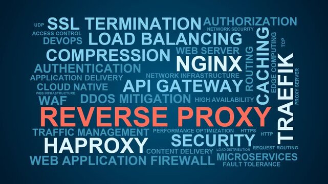 Reverse Proxy Word Cloud